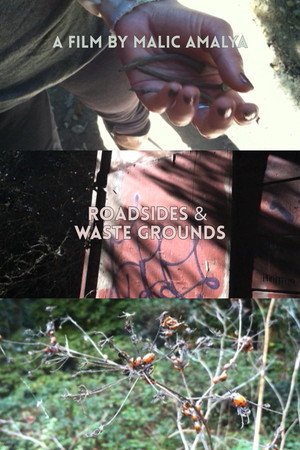 Roadsides and Waste Grounds