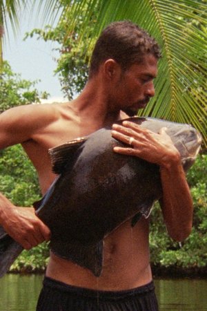 O Peixe