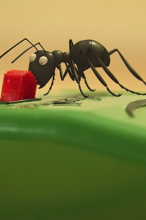 Ants on the train