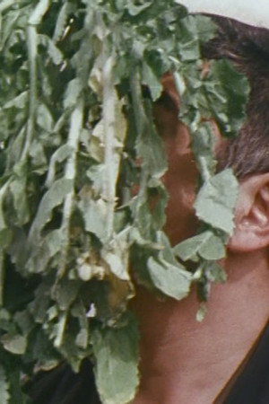 Song of the Father and Son