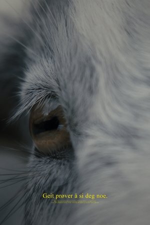 Geit prøver å si deg noe