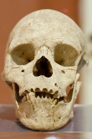6. epizoda