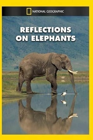 Reflections on Elephants
