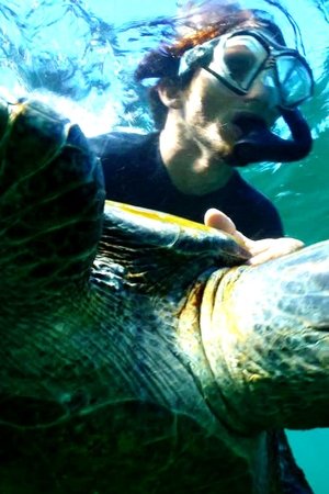 3. epizoda