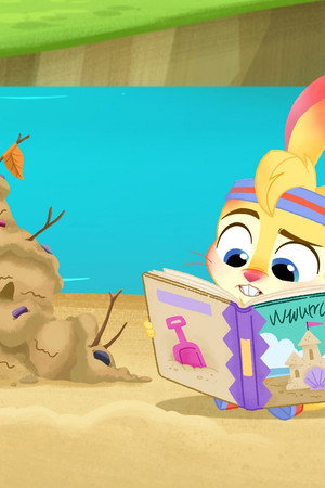 Zigzag’s Book Worries