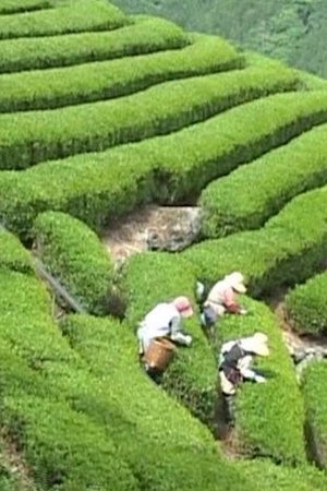 Bessho Tea Factory