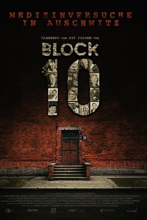 Medizinversuche in Auschwitz - Clauberg und die Frauen von Block 10