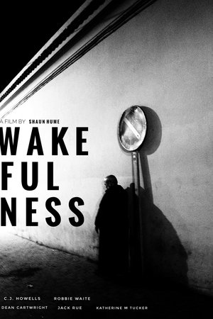 Wakefulness