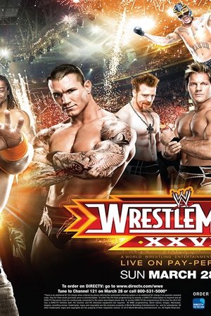 WWE Wrestlemania XXVI