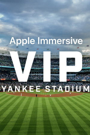 VIP: Yankee Stadium