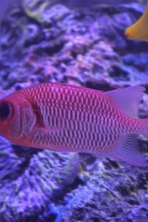 6. epizoda