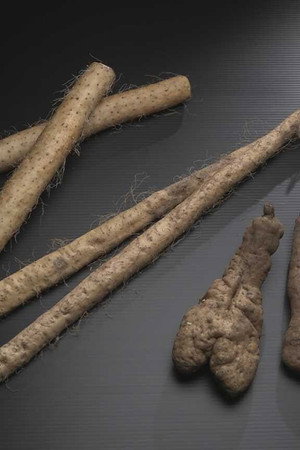 Japanese Yams