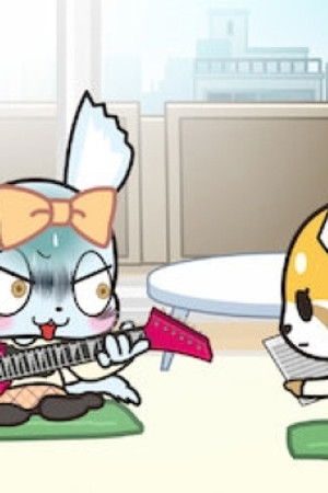 Neproniknutelná zeď