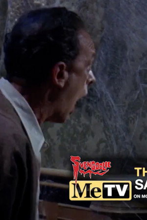 The Ghost and Mr. Chicken (1966)