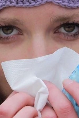 Rýma – Mají Češi nos na rýmy?