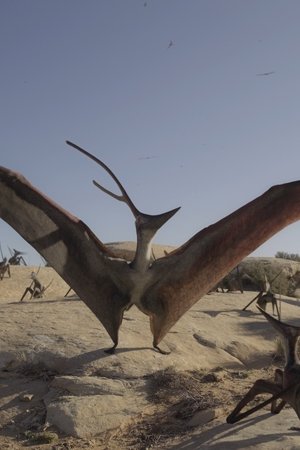 epizoda