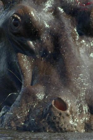 5. epizoda