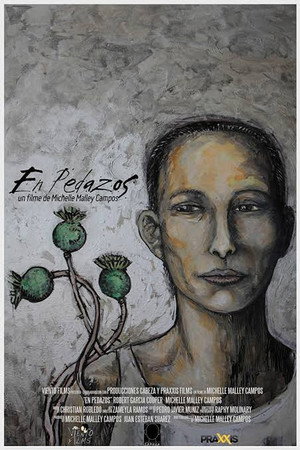 En pedazos