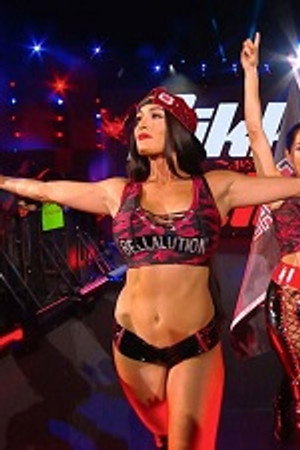 The Evolution Of The Bellas