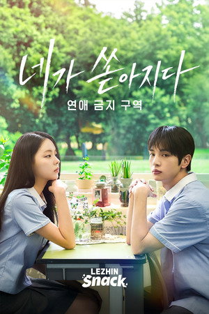 네가 쏟아지다 : 연애 금지구역