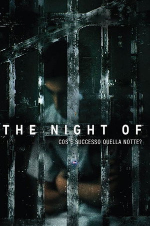 The Night of - Cosa è successo quella notte?