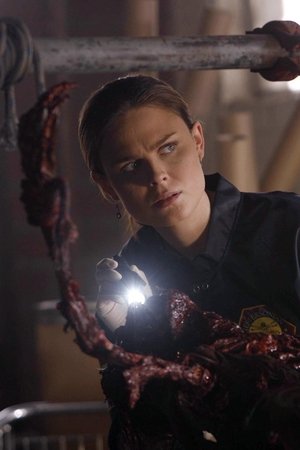 Dvě těla v laborce