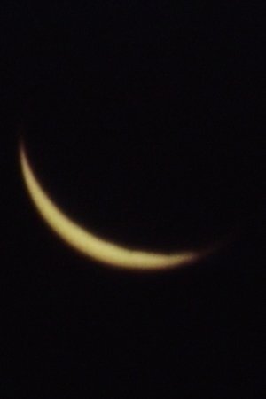 The Moon