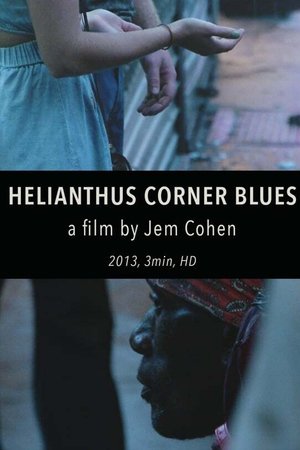 Helianthus Corner Blues