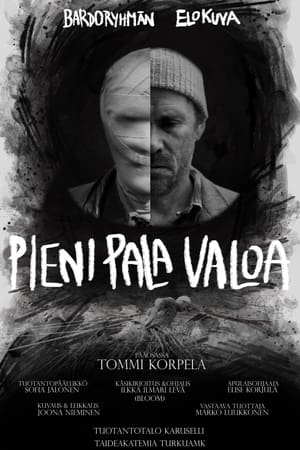 Pieni pala valoa
