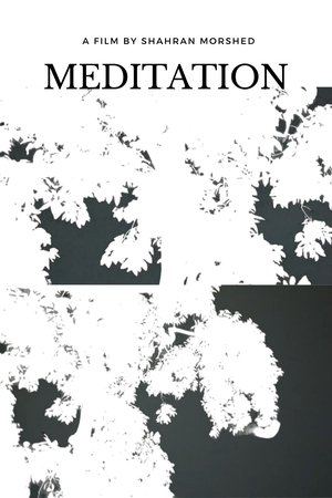 Meditation