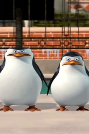 The Penguins of Madagascar: New to the Zoo