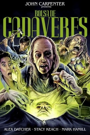 Imagen de Bolsa de cadáveres