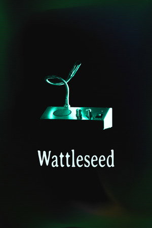 Wattleseed