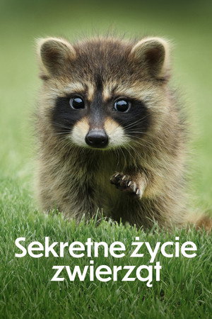 Sekretne życie zwierząt