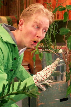 Quarrelsome Plants