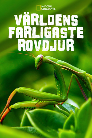 Världens farligaste rovdjur