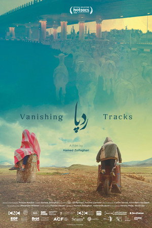 Vanishing Tracks