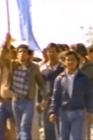Banderas de humo