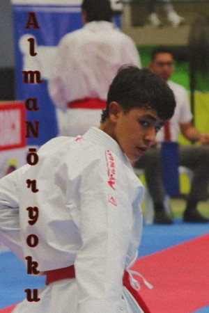 ALMA NŌRYOKU