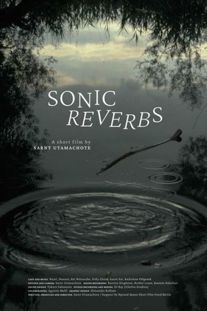 Sonic Reverbs