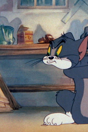 The Yankee Doodle Mouse