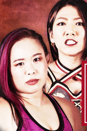 Sendai Girls' Pro-Wrestling in Kariya