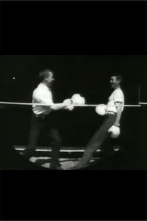 Men Boxing