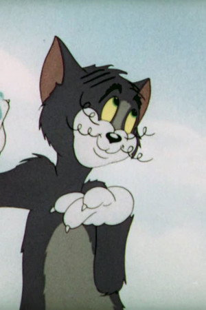 The Zoot Cat