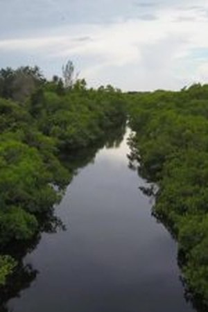 5. epizoda