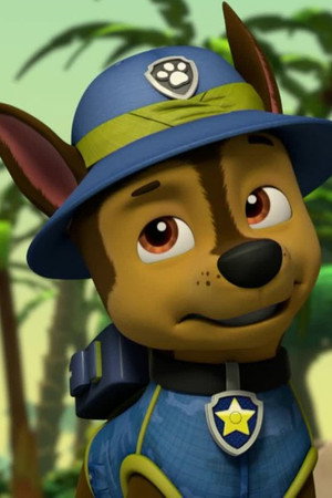 Pups Save the Maze Explorers