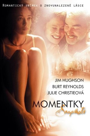 Momentky