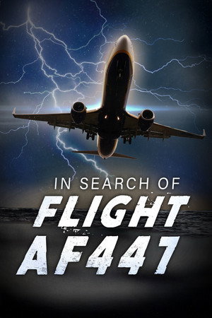 In Search of Flight AF447