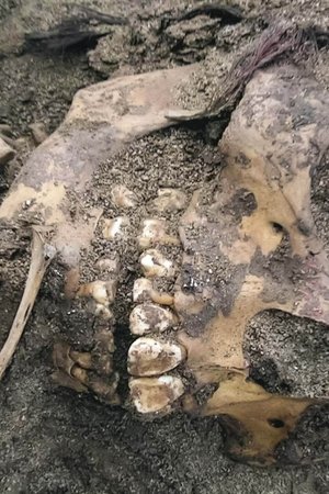 7. epizoda