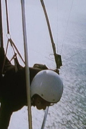 Fall of a Birdman